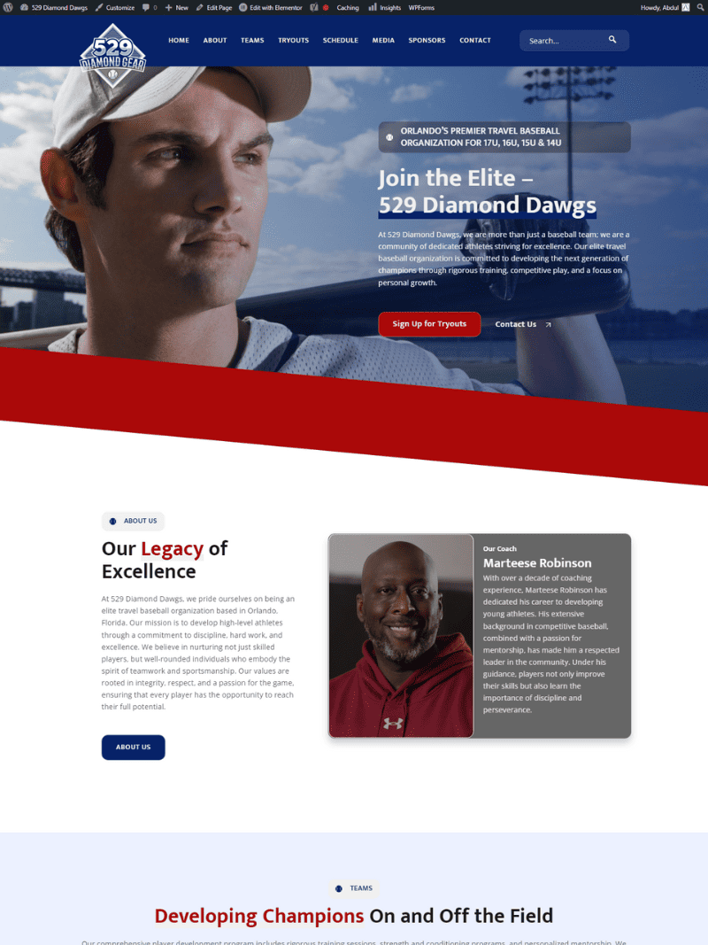 Digital Marketing Agency in Shimla 11 529 Diamond Gear