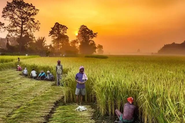 Locations 12 Haryana